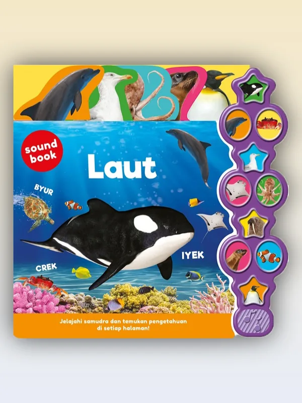 Sampul buku Big Sound Book: Laut